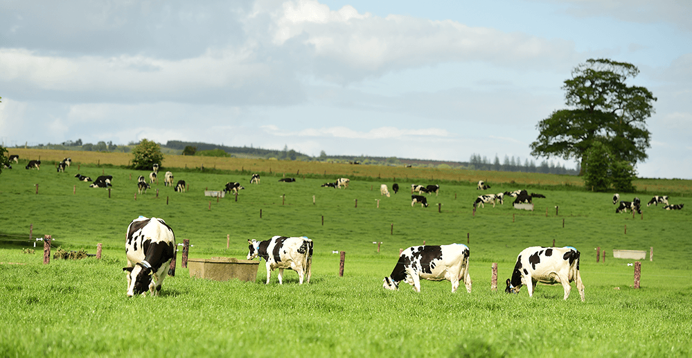 Teagasc Staff Pay Costs Rose by 9 to E109m in 2024 Report