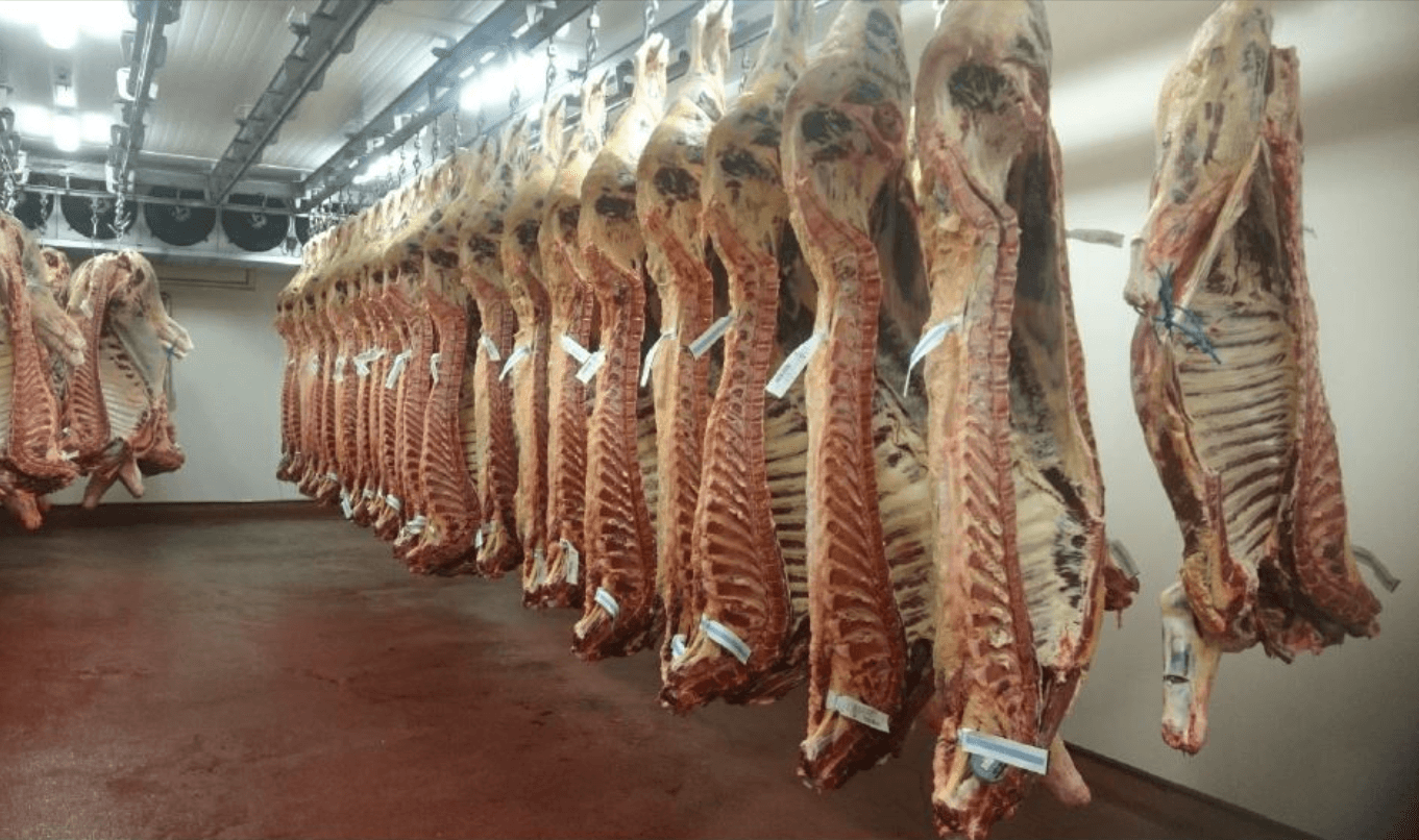 Beef kill: Supply drop of 112,000 cattle forecast by year-end