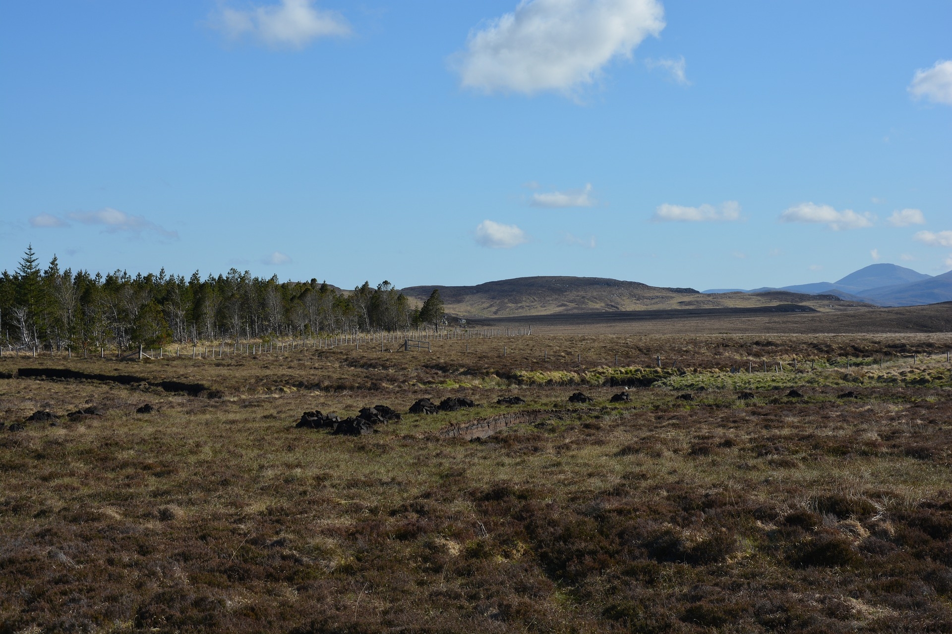 State criticised for purchasing land for rewilding amid housing crisis