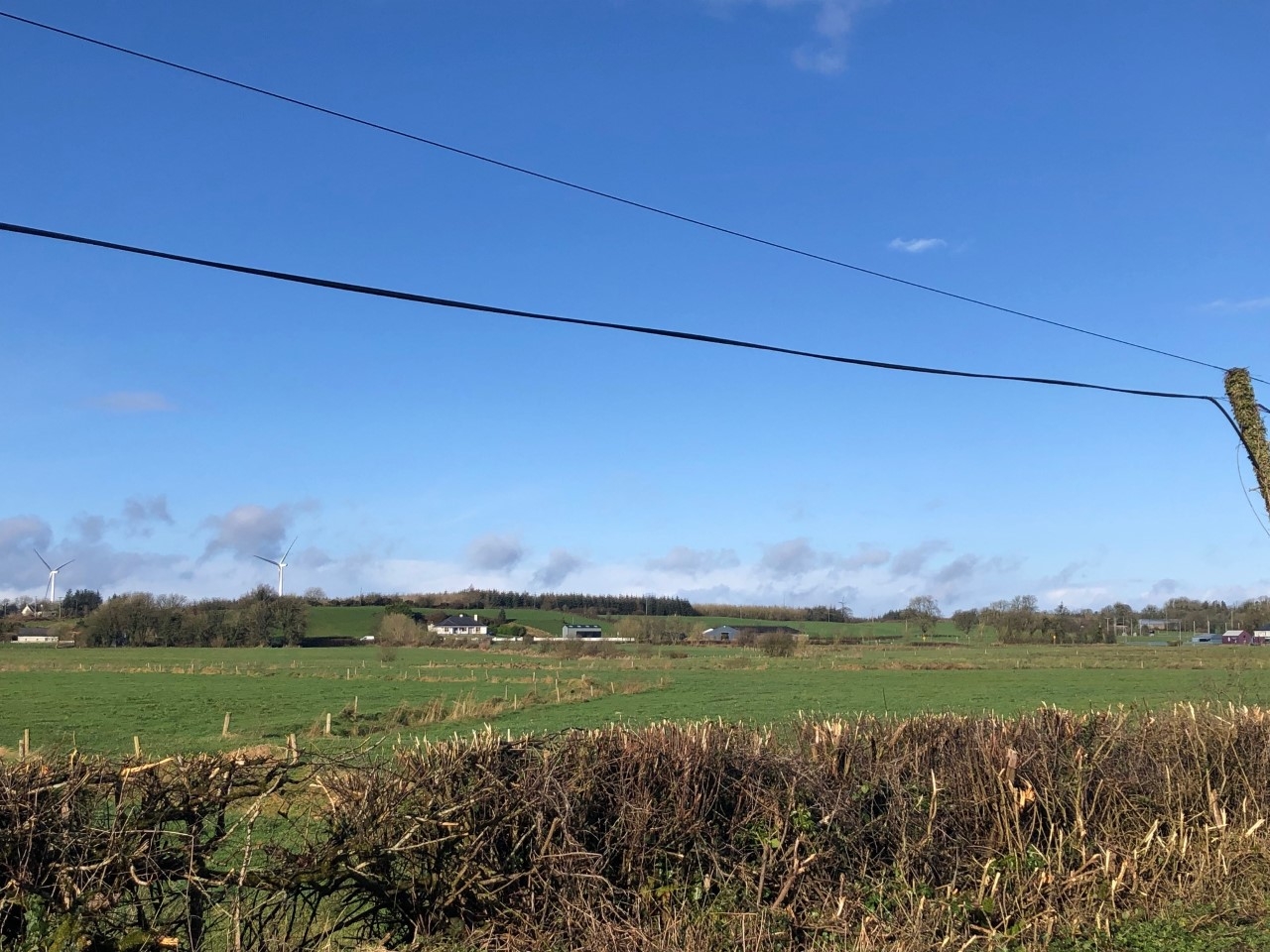 NI National Hedgerow Week to take place next week