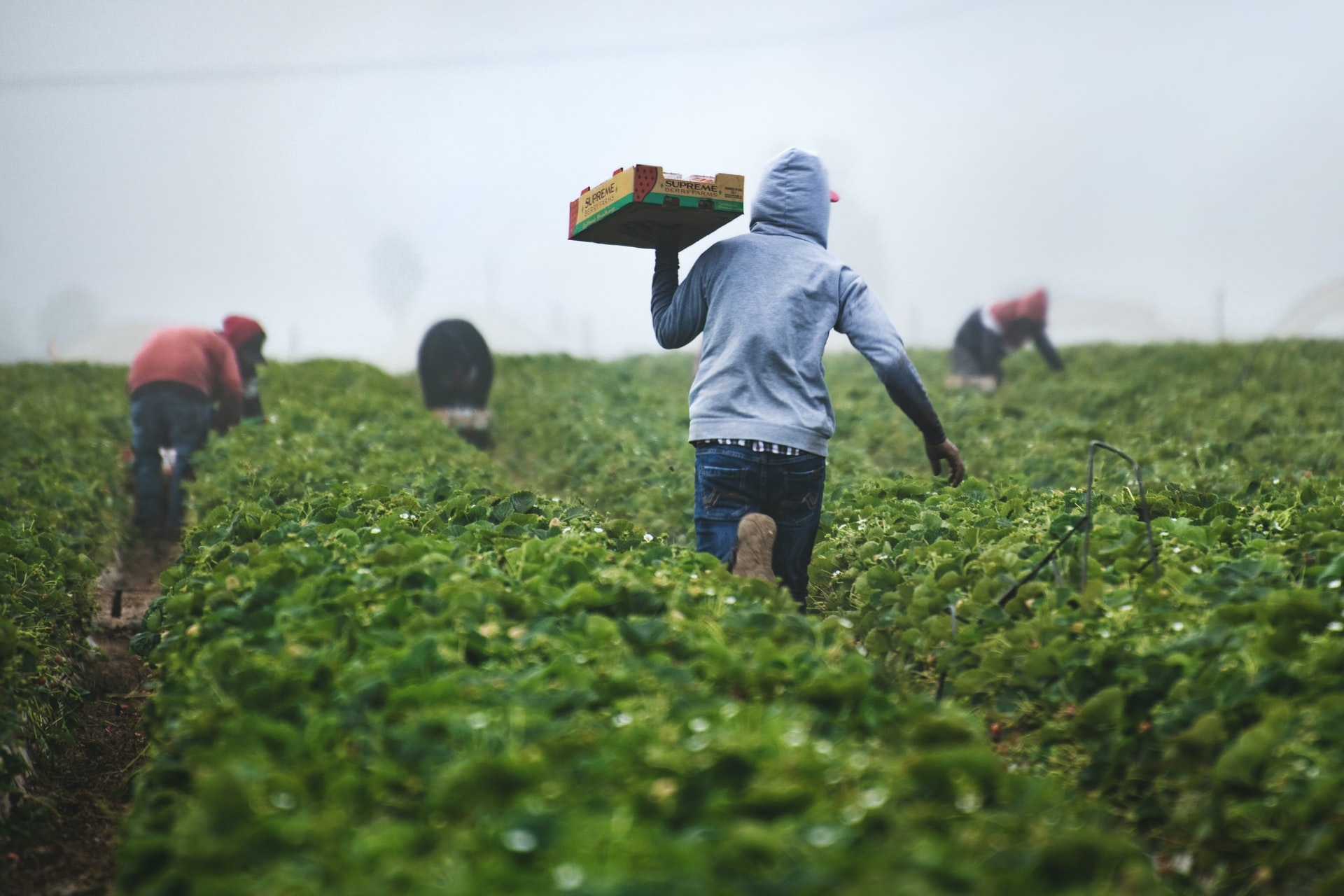 Views sought on review of occupations lists for work permits