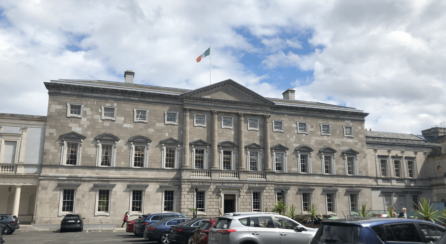 Fox hunting bill passes first stage of voting in Dáil