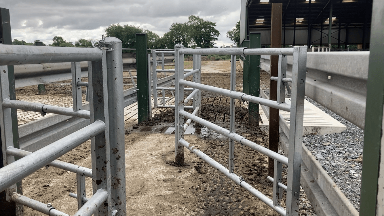 Heydon to ‘move quickly' to ‘refine' TB Eradication Programme