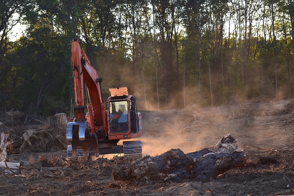 EU Commission reveals ‘high risk' countries for deforestation