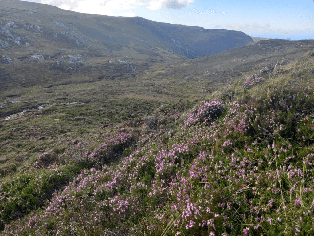 ‘GAEC 2 proposal fundamentally flawed and unfair'