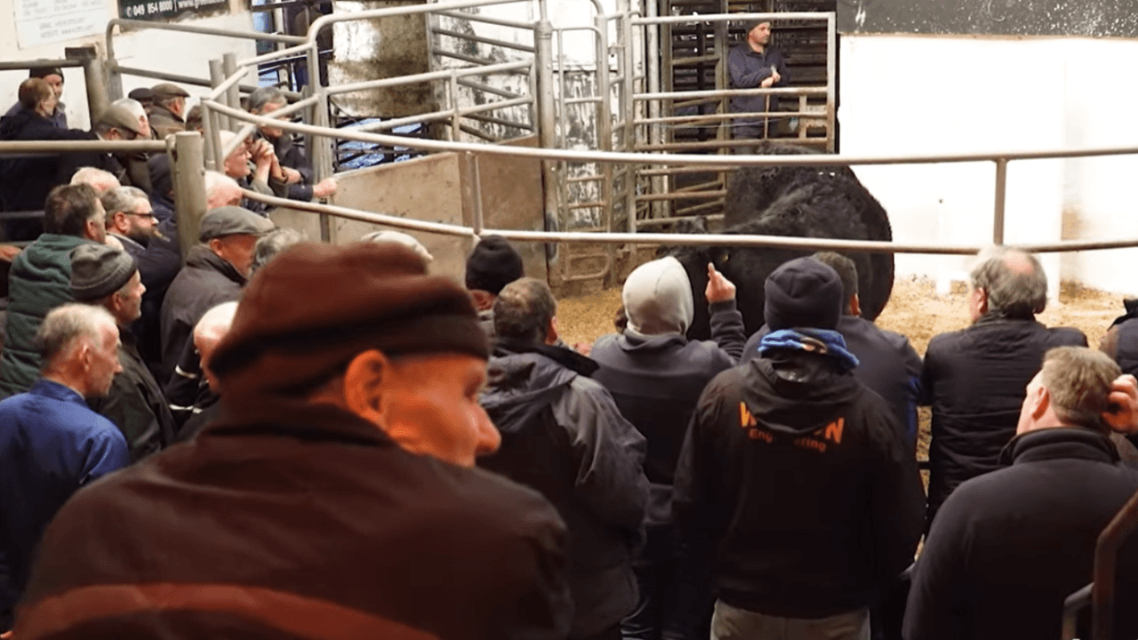 PSRA seeks meeting with livestock marts on finances