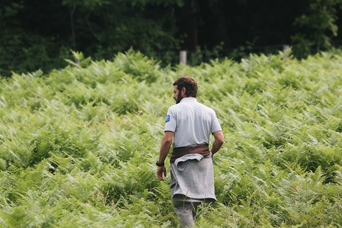 Share Farming EIP set to launch in coming months