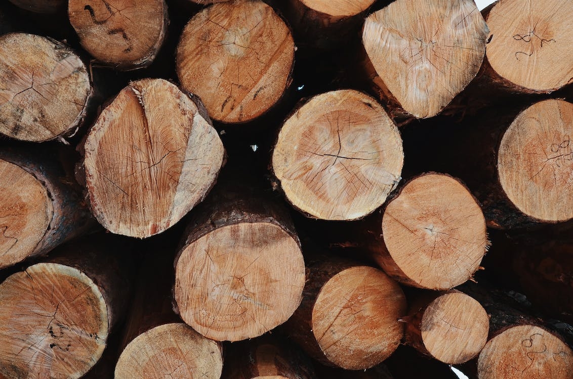 DAFM and Coillte to host conference on homegrown timber building