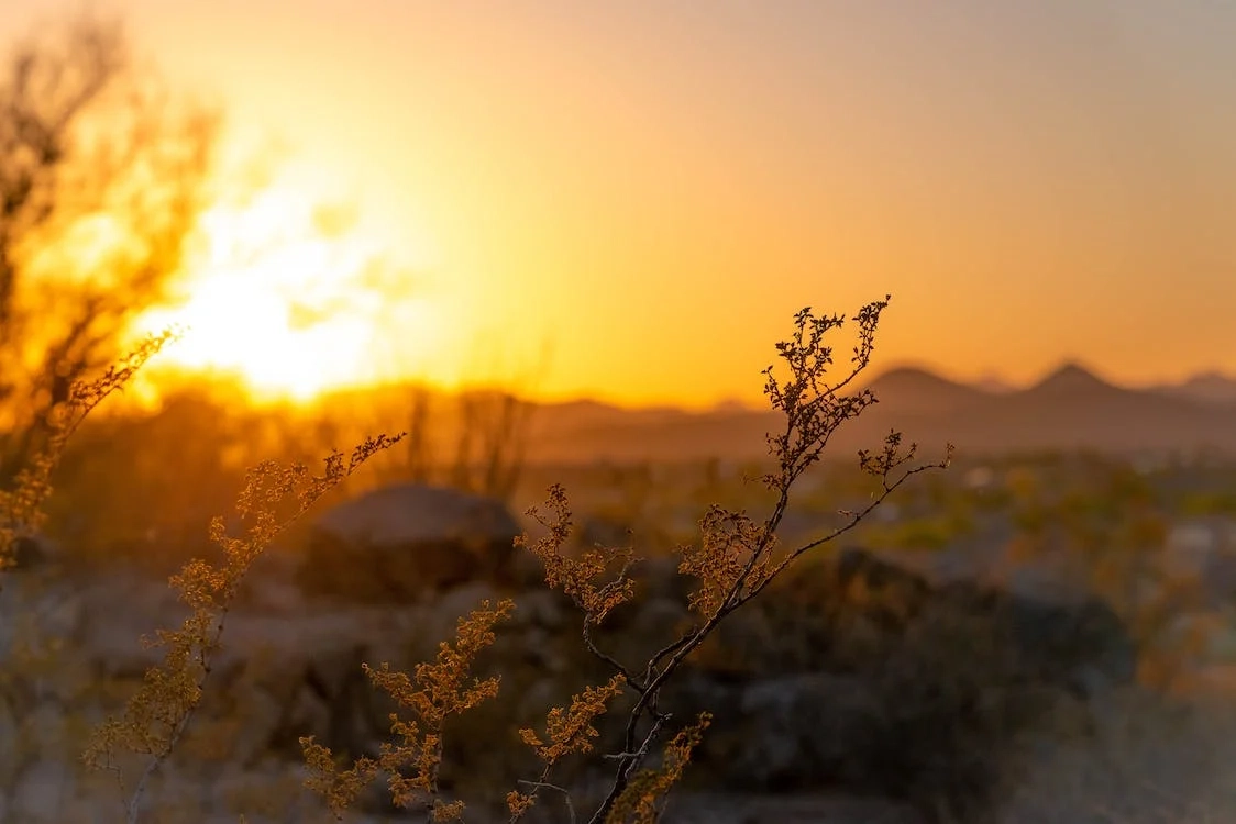 Study: Climate change threatens to increase EU agri losses