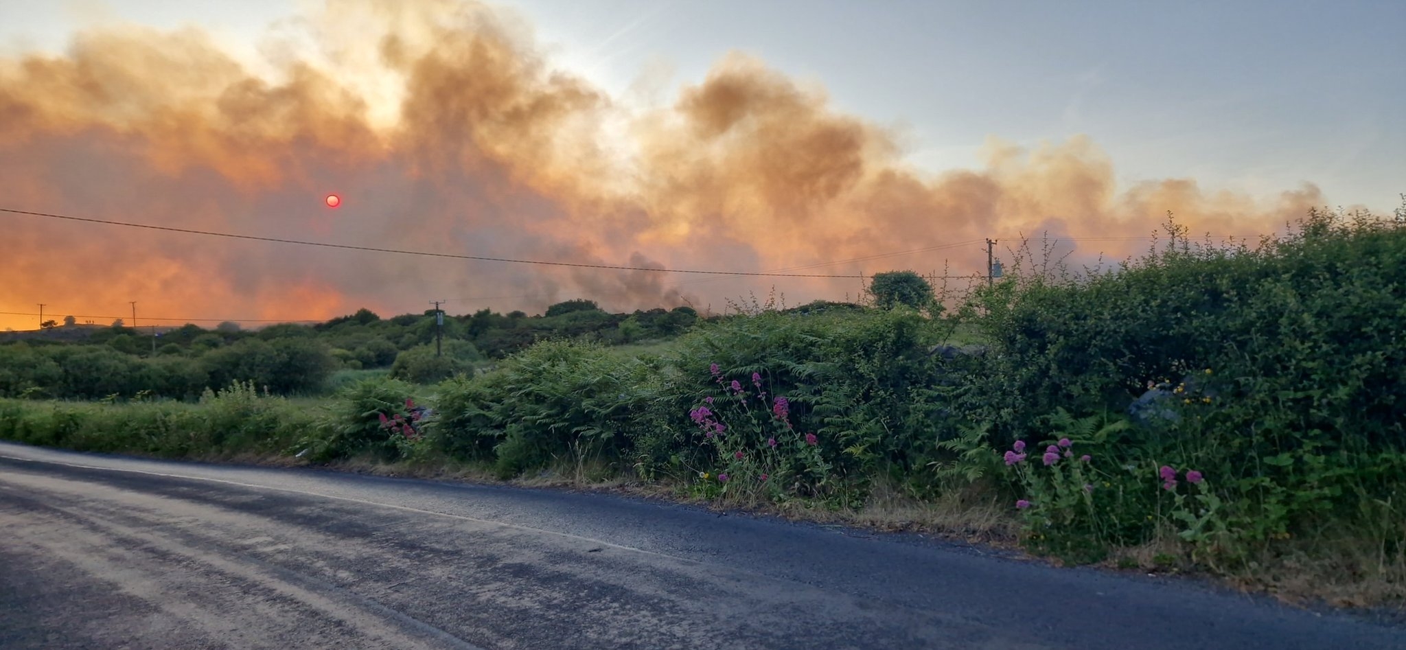 Coillte urges against lighting outdoor fires amid risk warning