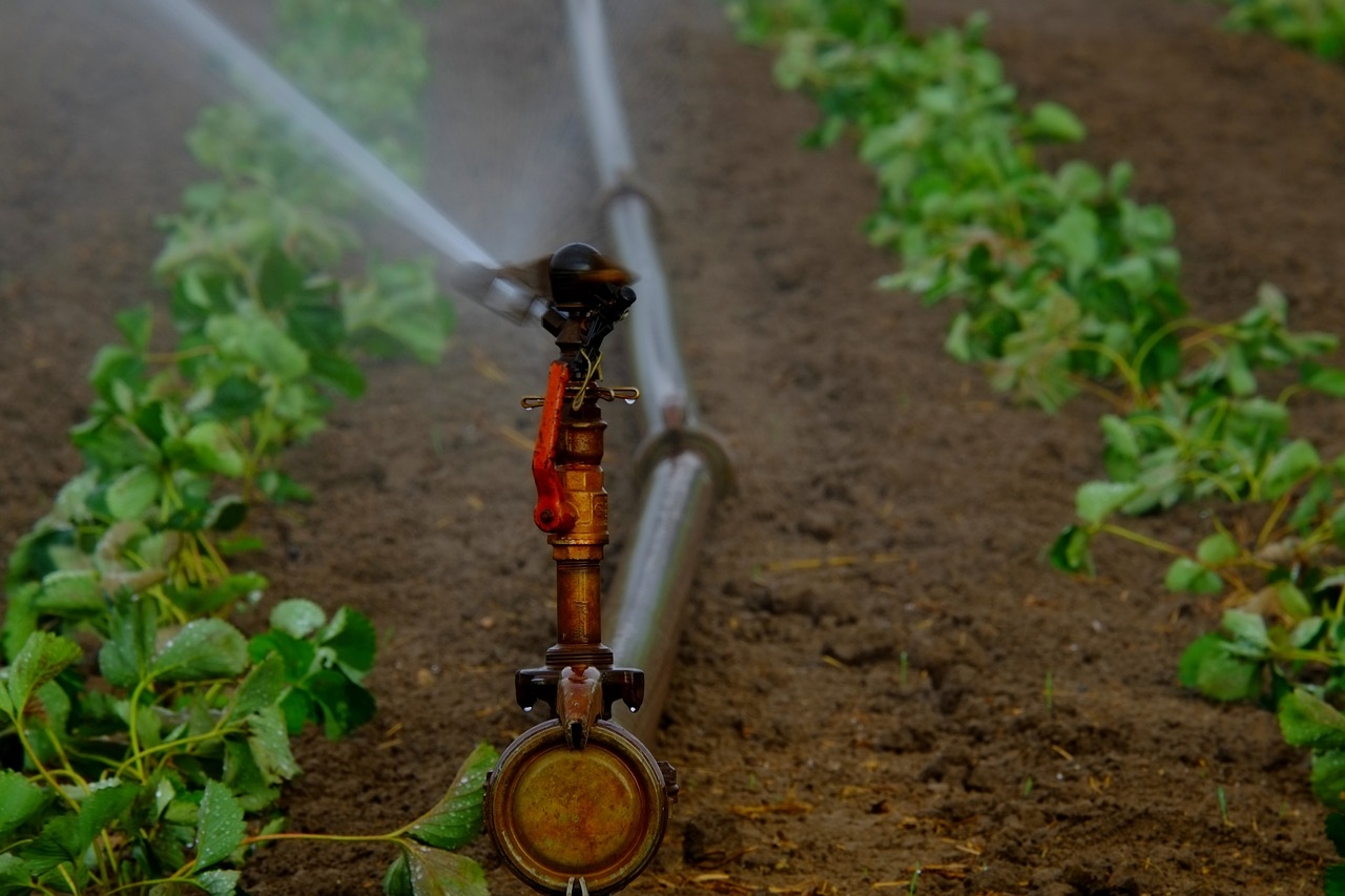 EU young farmers say new water plan lacks detail on investment