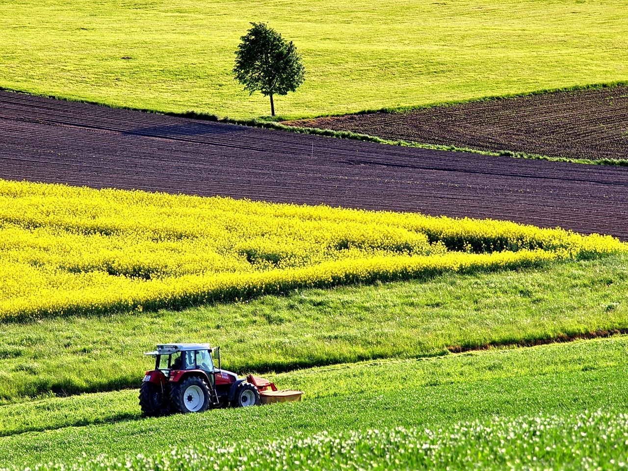 Fitzmaurice: ‘Every time the price of diesel goes up, farmers get hit'