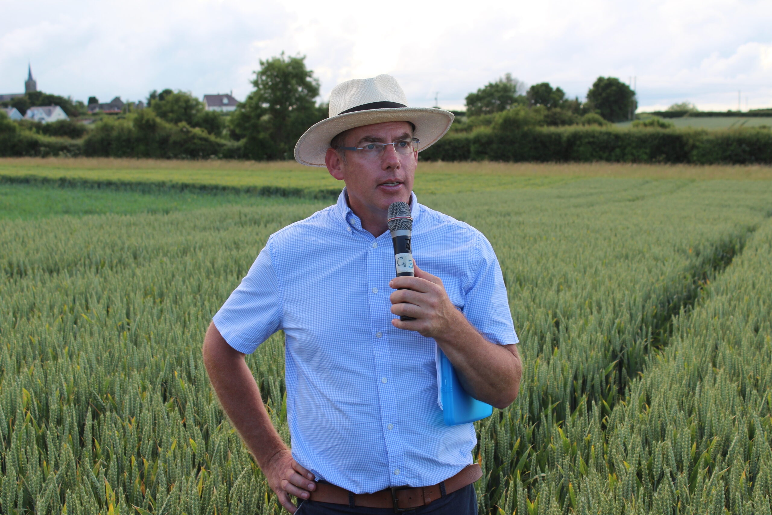 The potential impact of yellow rust disease on Irish wheat production