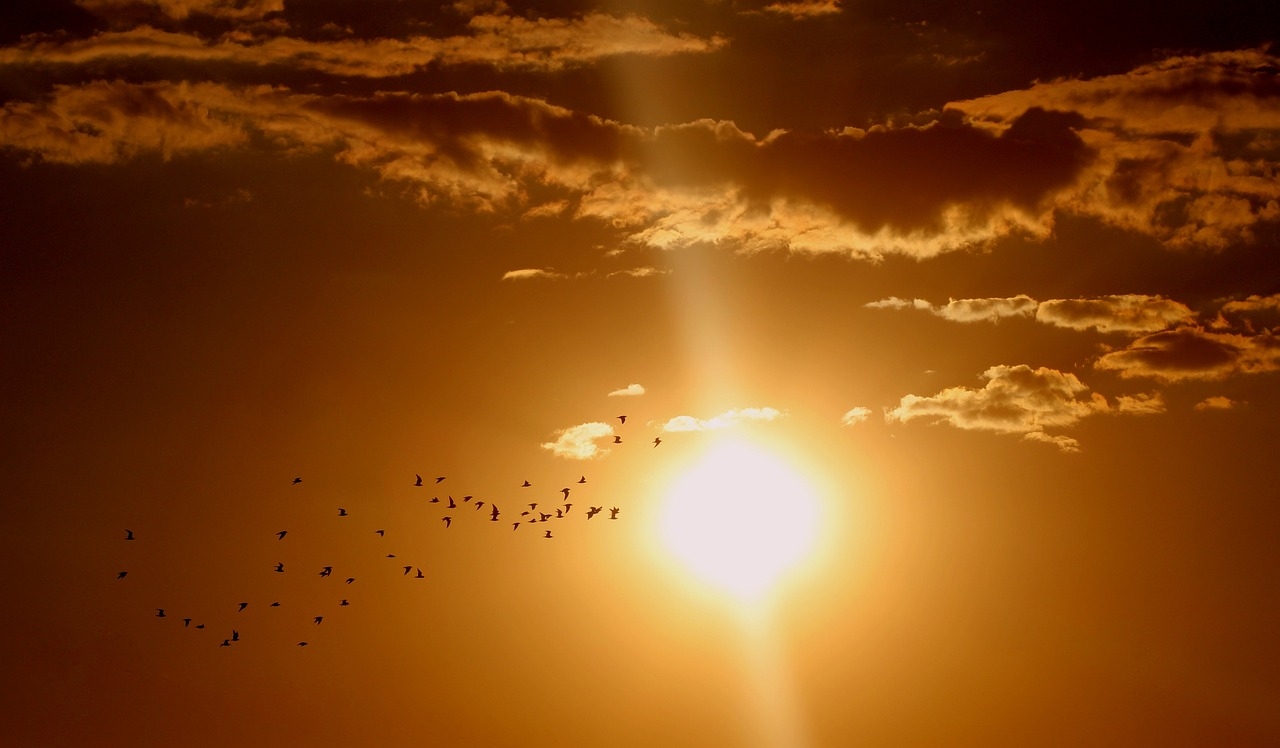 Spring 2025 had highest average temperatures in over 100 years