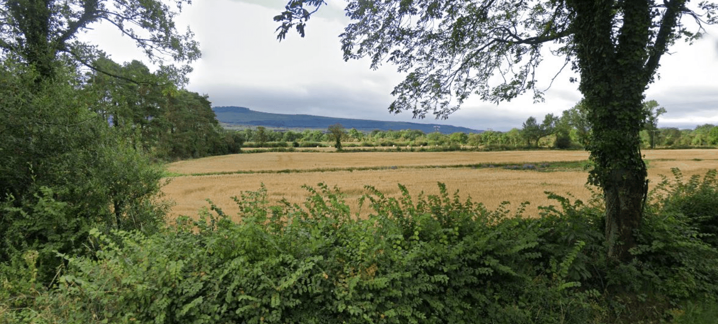 Monitoring and managing risks of grass weeds
