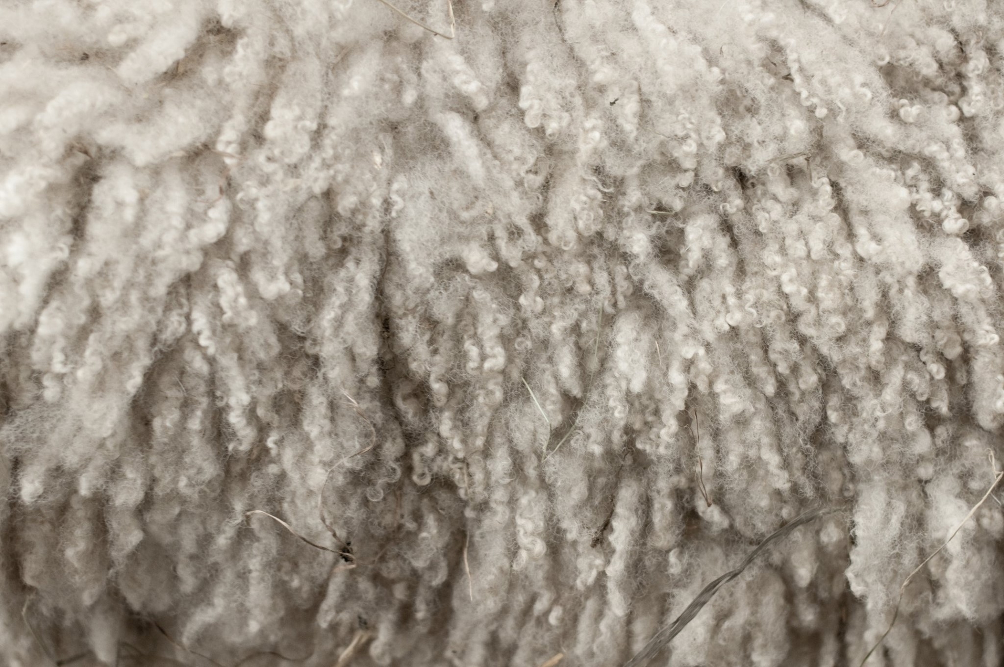Irish Grown Wool Council appoints new chair