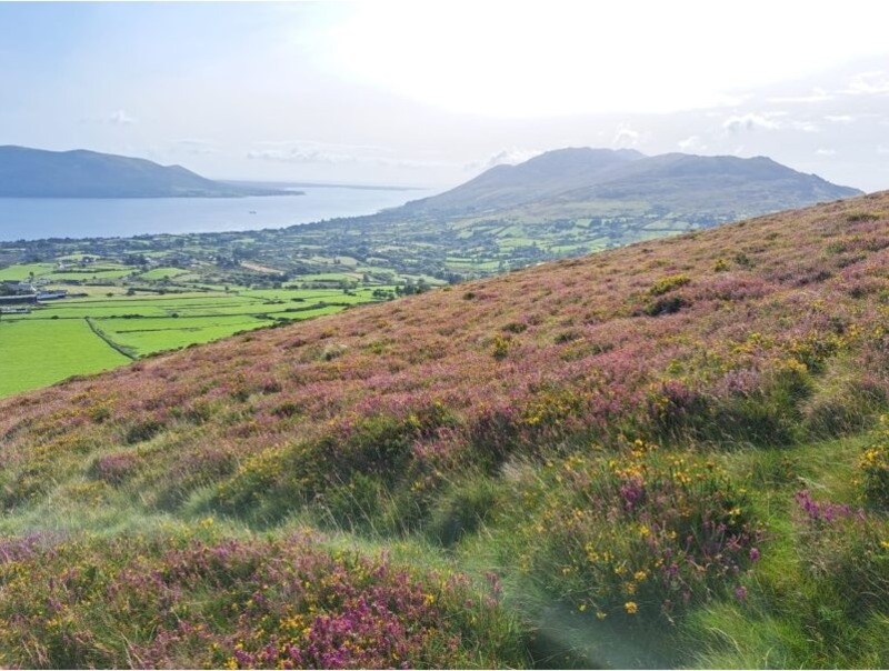 ACRES payments ‘could be too little, too late' for future schemes