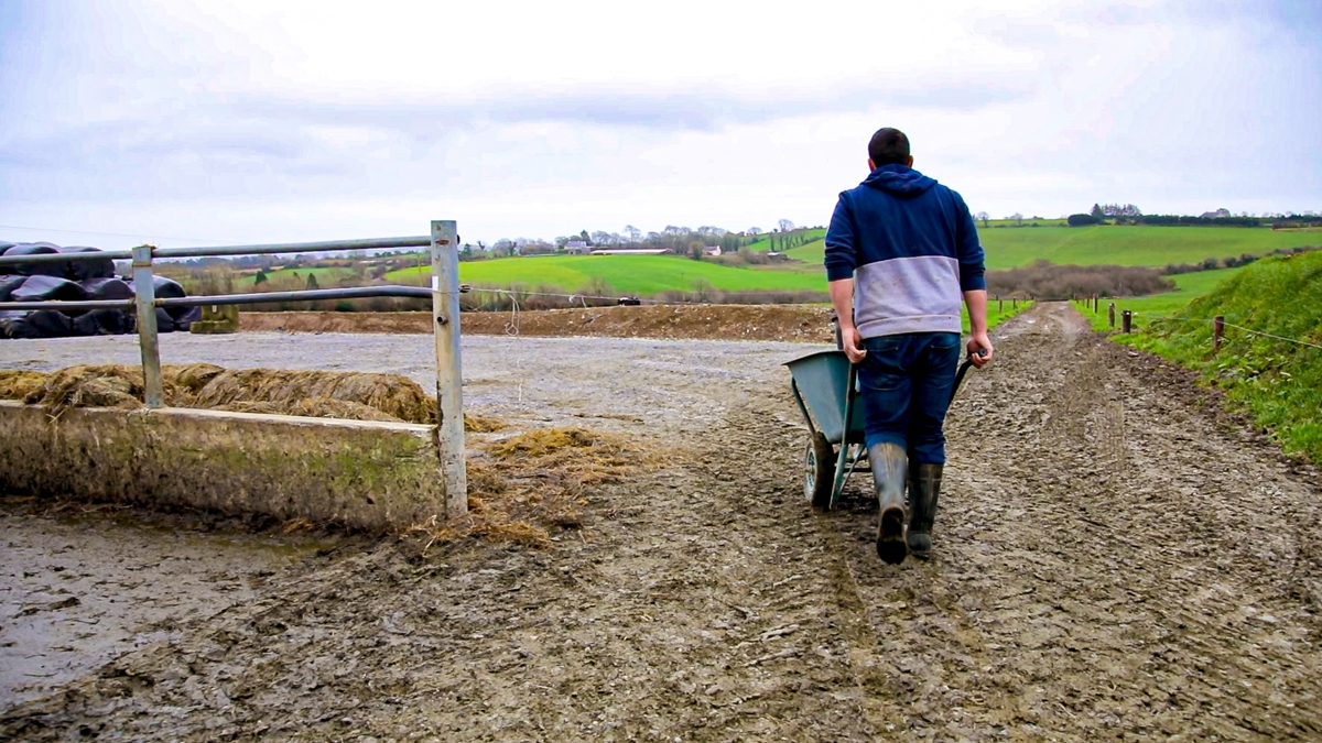 Lack of career progression a major challenge for farm workers