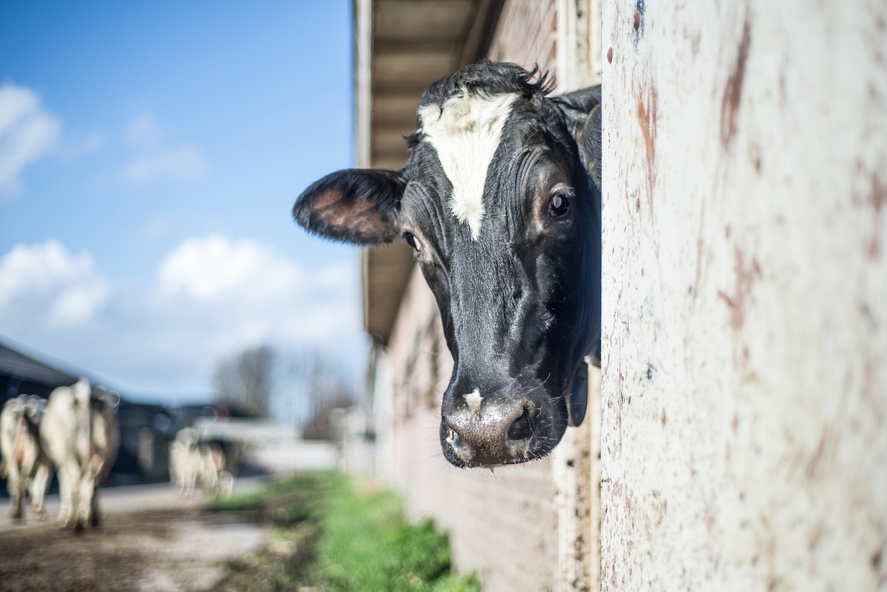 Minister's TB proposals need to be ‘balanced and fair'