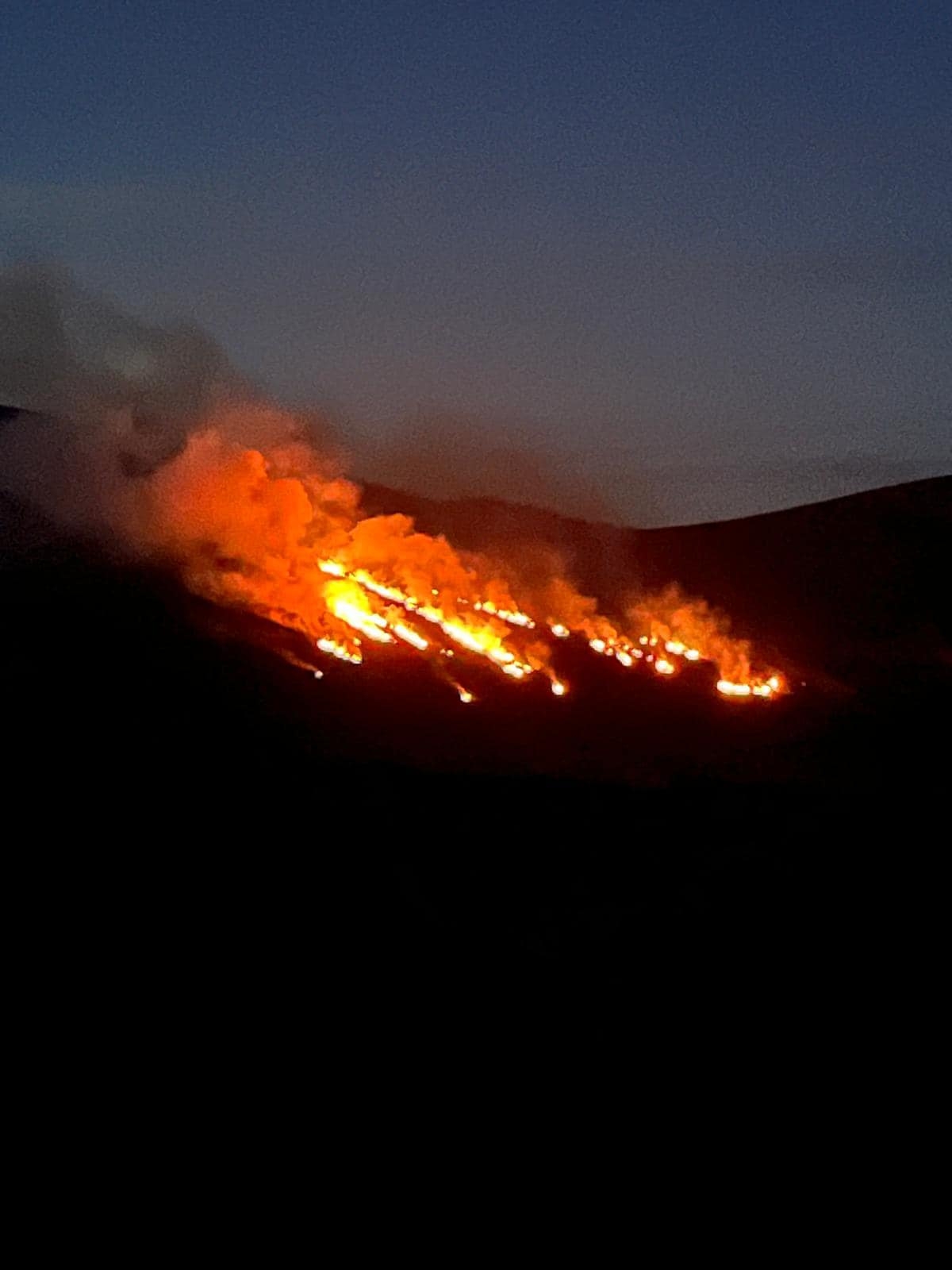 Call for support for farmers after land destroyed by gorse fires