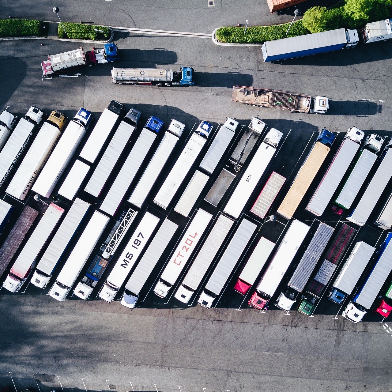 EU-UK deal will end need for almost 80k vet export certs
