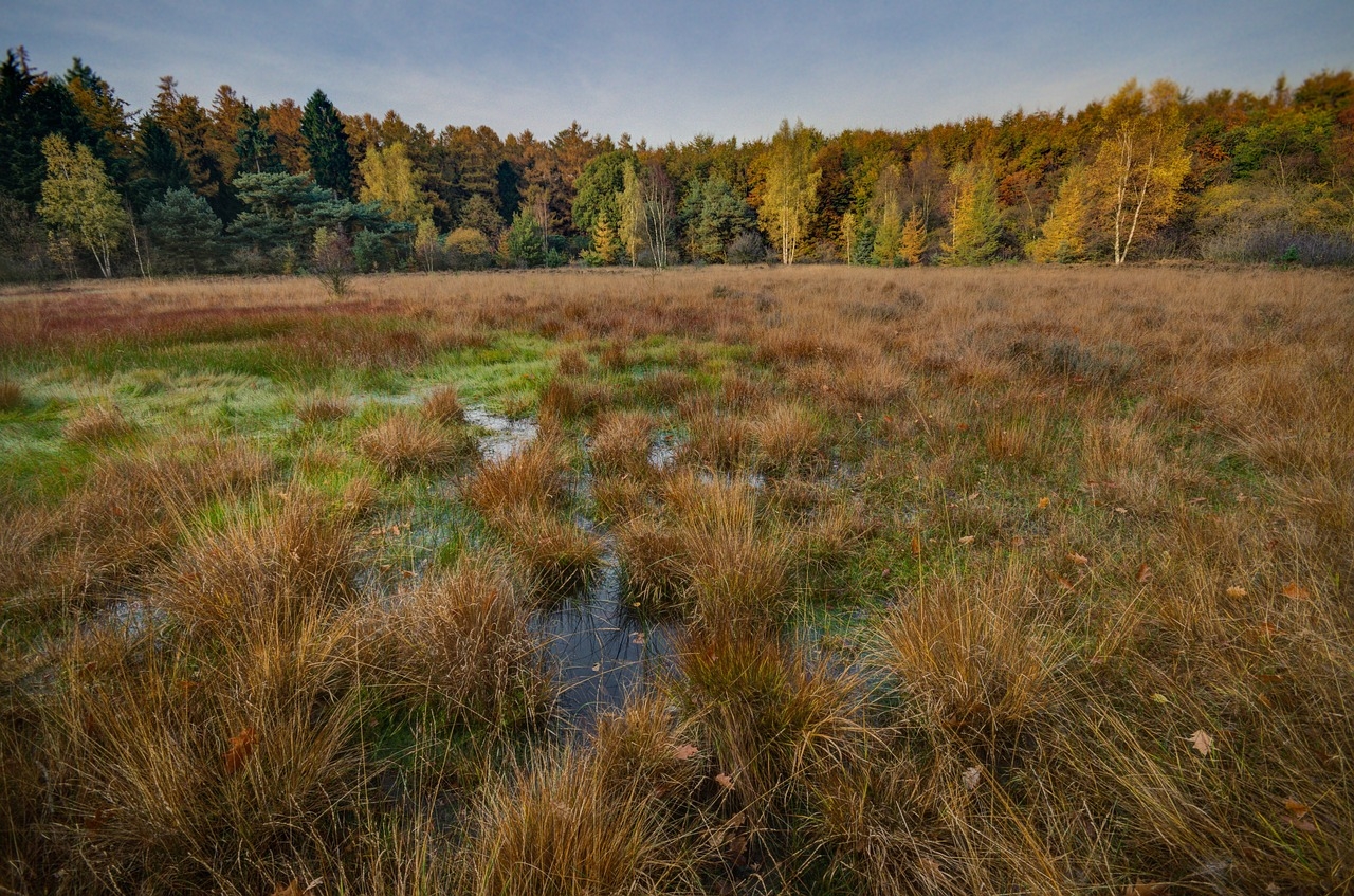 ‘Bigger package' needed for landowners to conserve nature