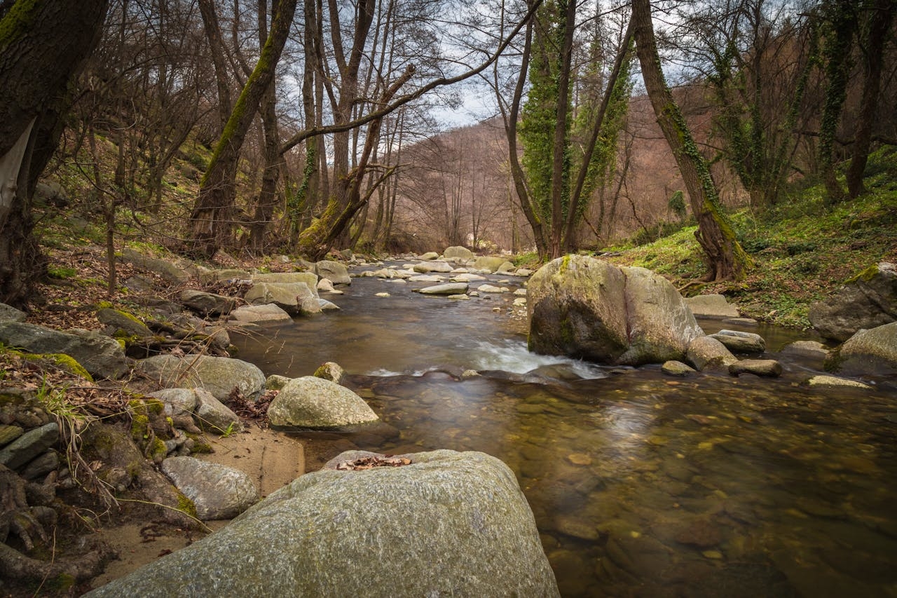 Report: Local solutions, info and incentives crucial for water quality