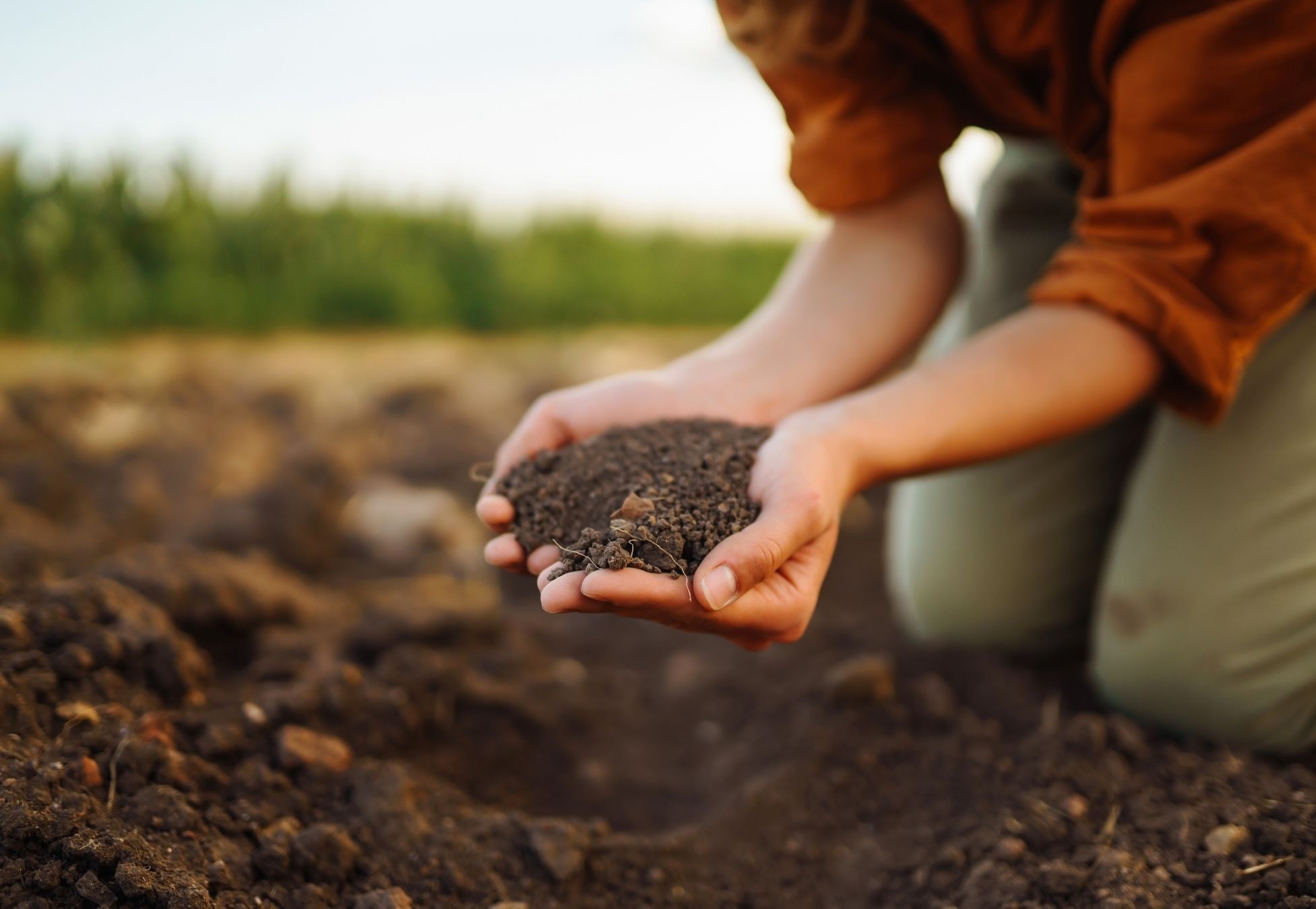 New EU map of soil health to ‘revolutionise' soil management