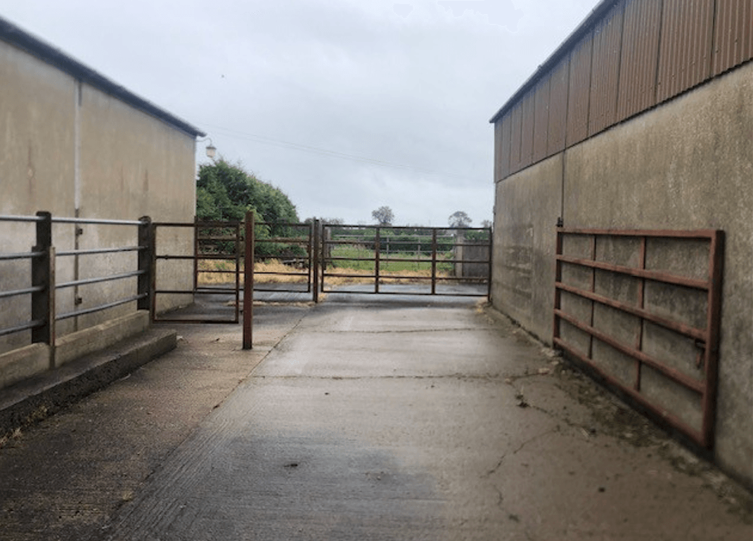 Over 1000 Conditionality Inspections Took Place in 2024 Dafm