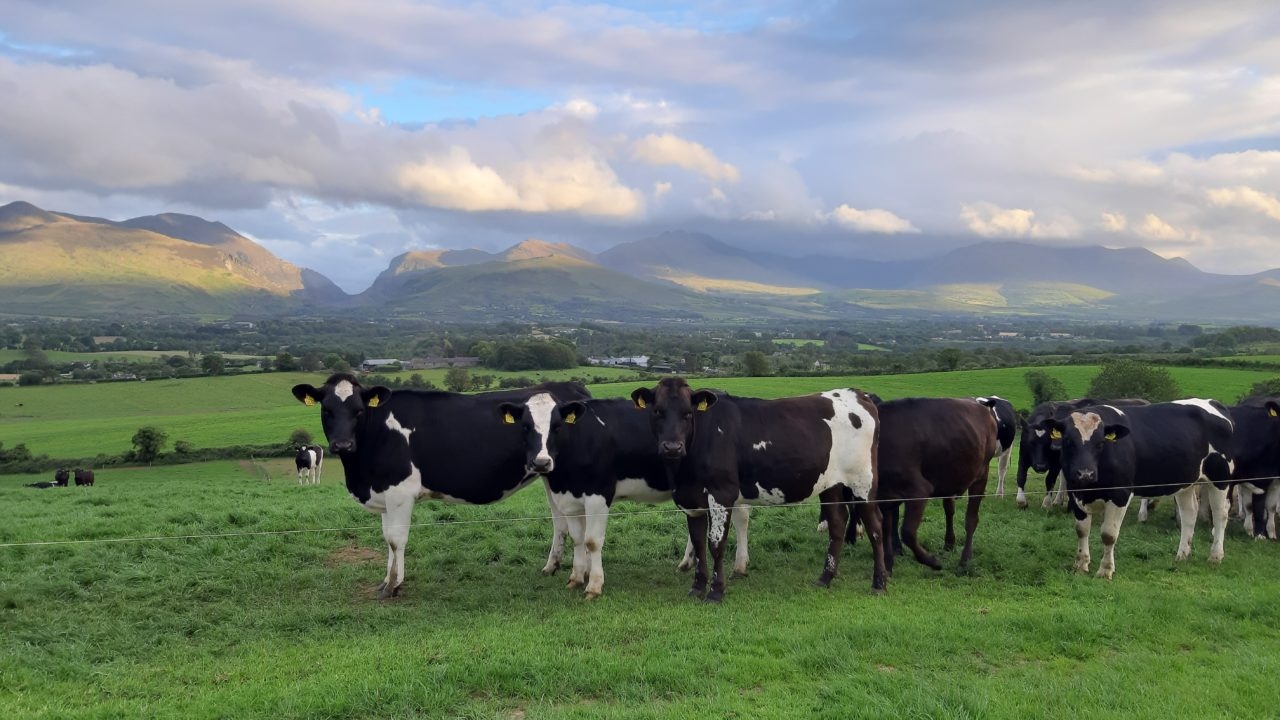 2025 nitrates derogation: How many applications in your county?