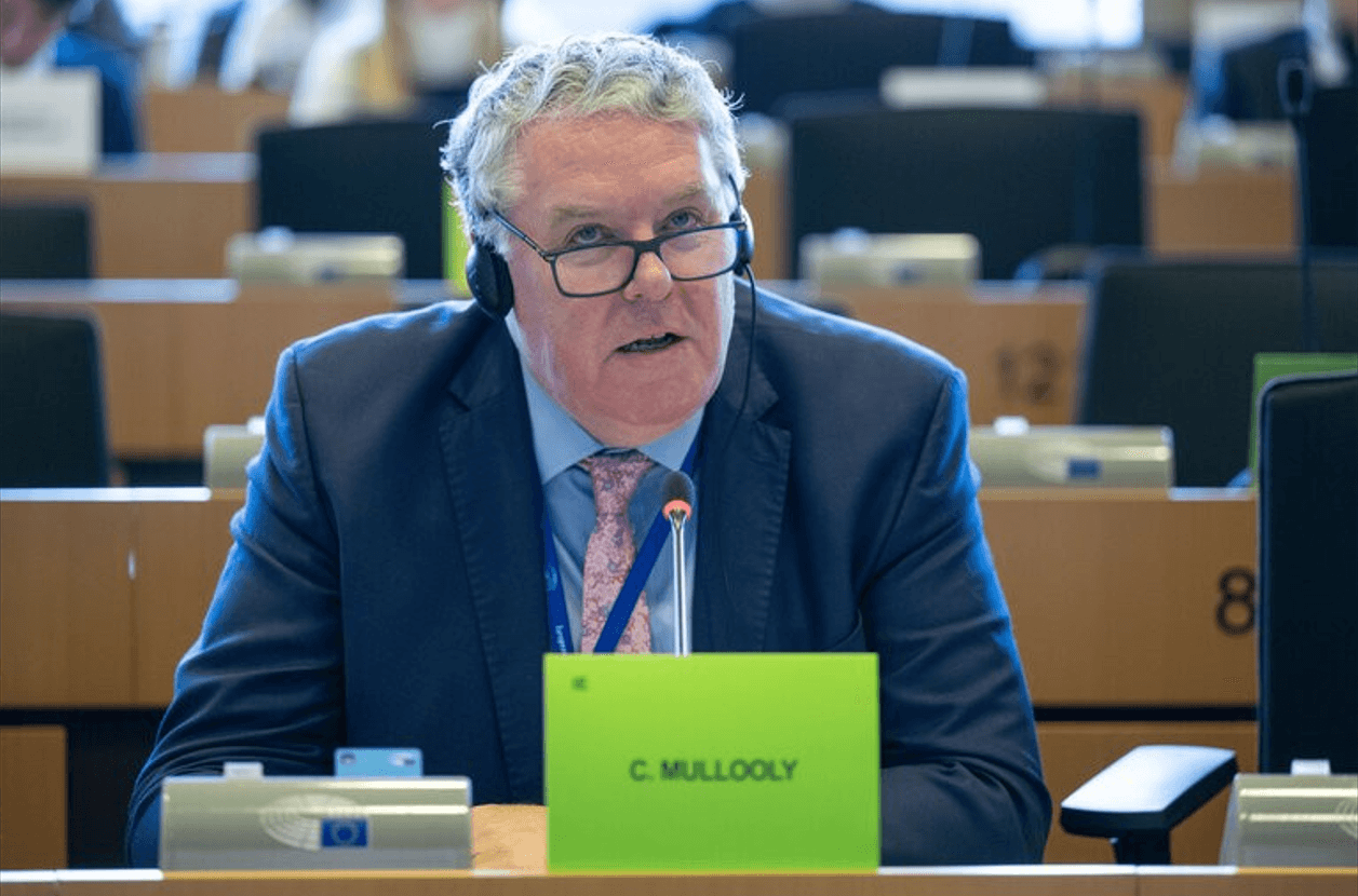 Mullooly welcomes CAP simplification but with some concerns