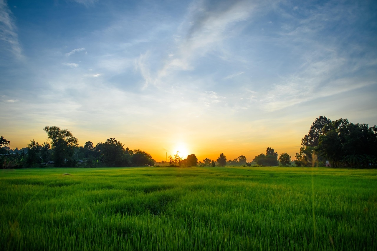 Kelly: Package ‘puts trust back in the hands of farmers'