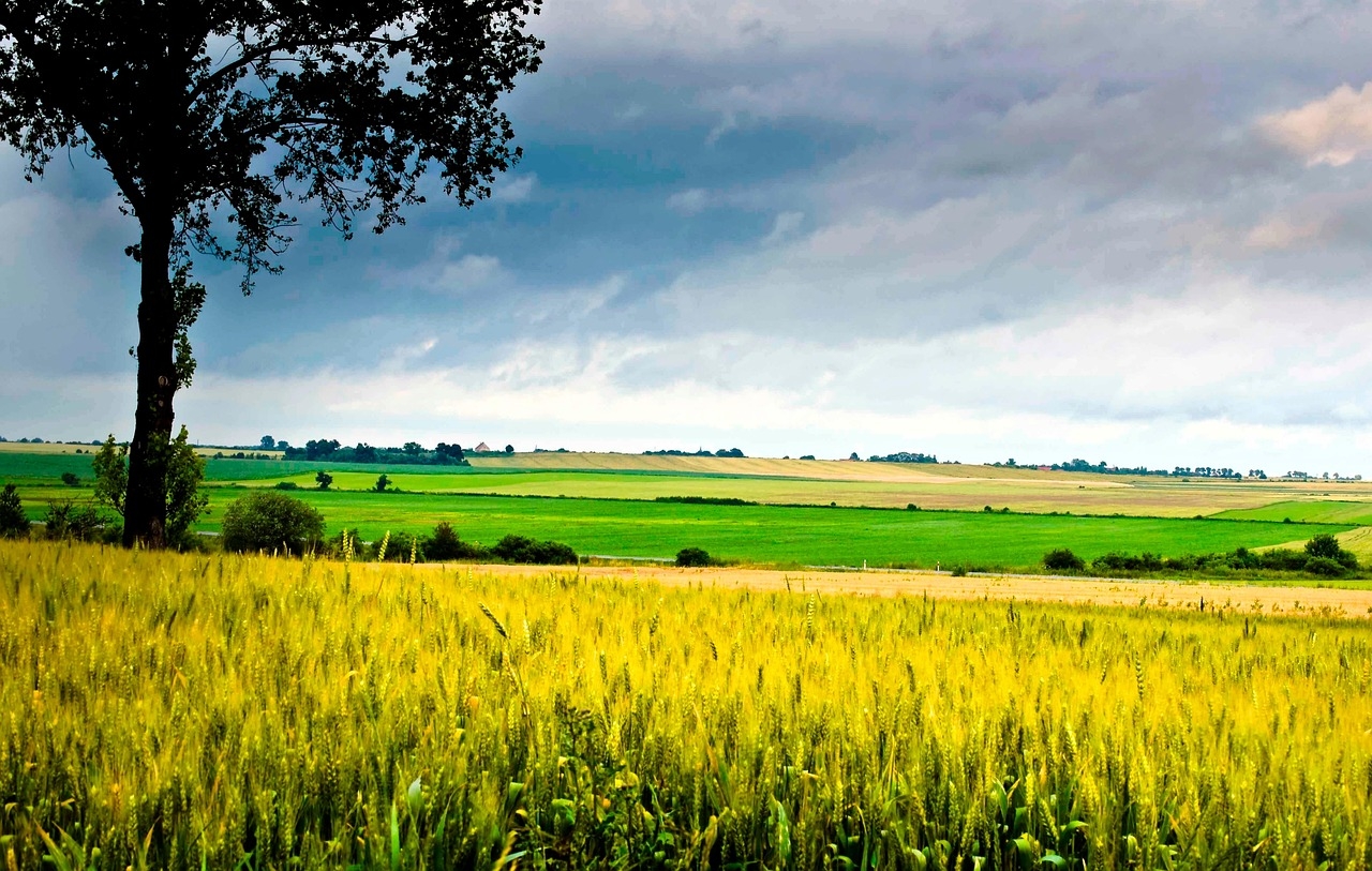 Watch: ‘It's in Europe's interest to move off fossil fuels'