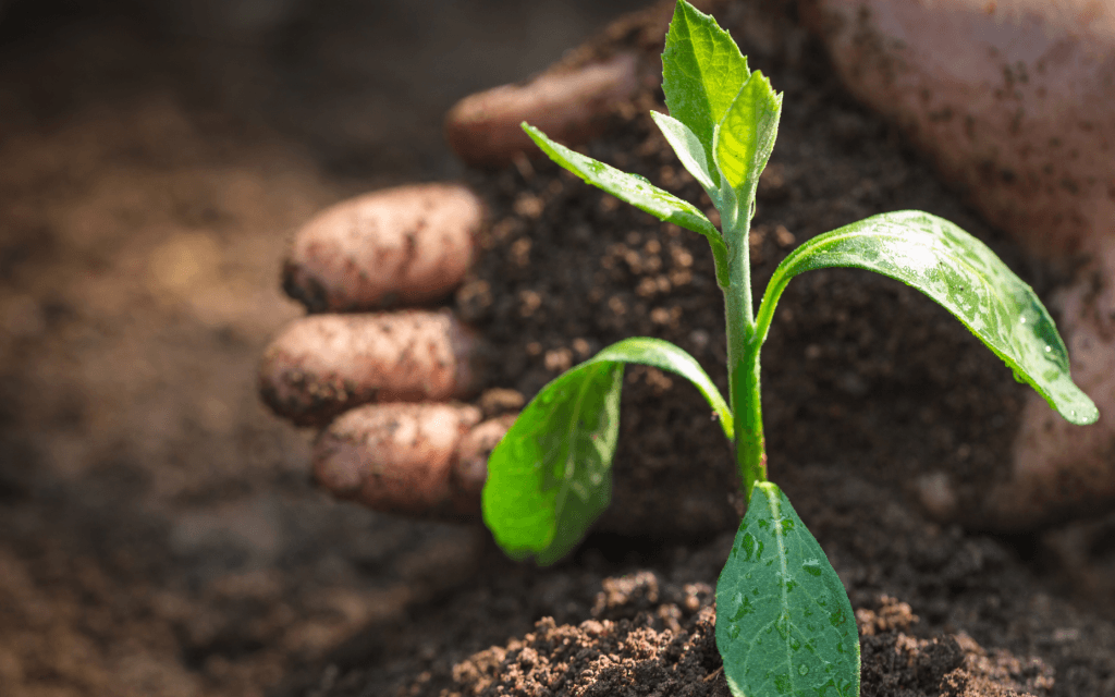 DAERA urges all farms to sign up for Soil Nutrient Health Scheme