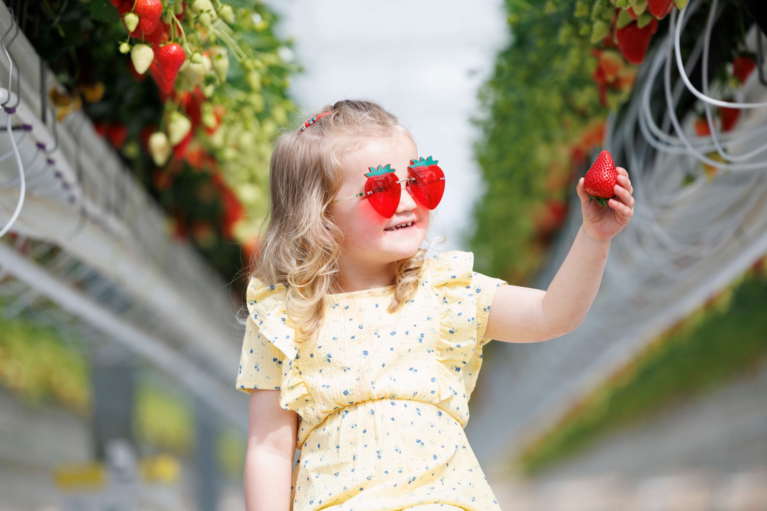 ALDI extends strawberry partnership with Sunglow Nurseries