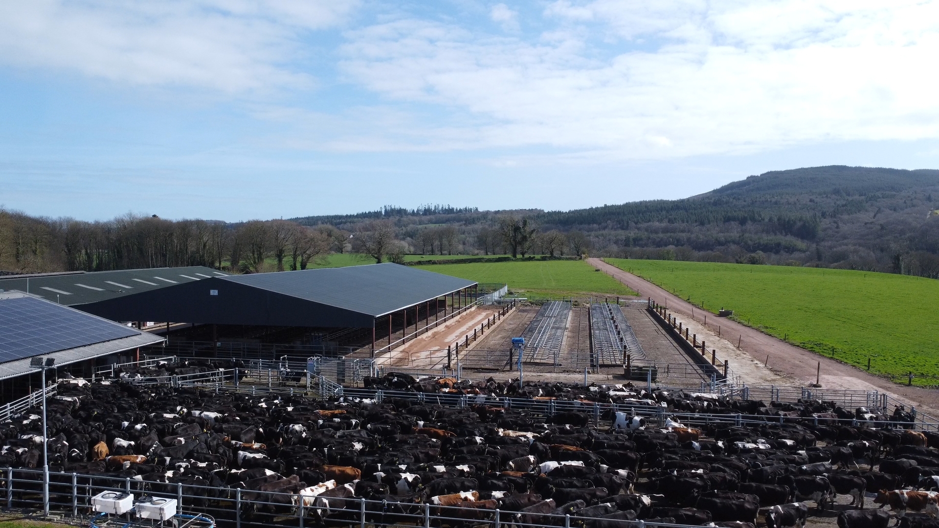River Blackwater Catchment Series: 480 cows with water quality at helm
