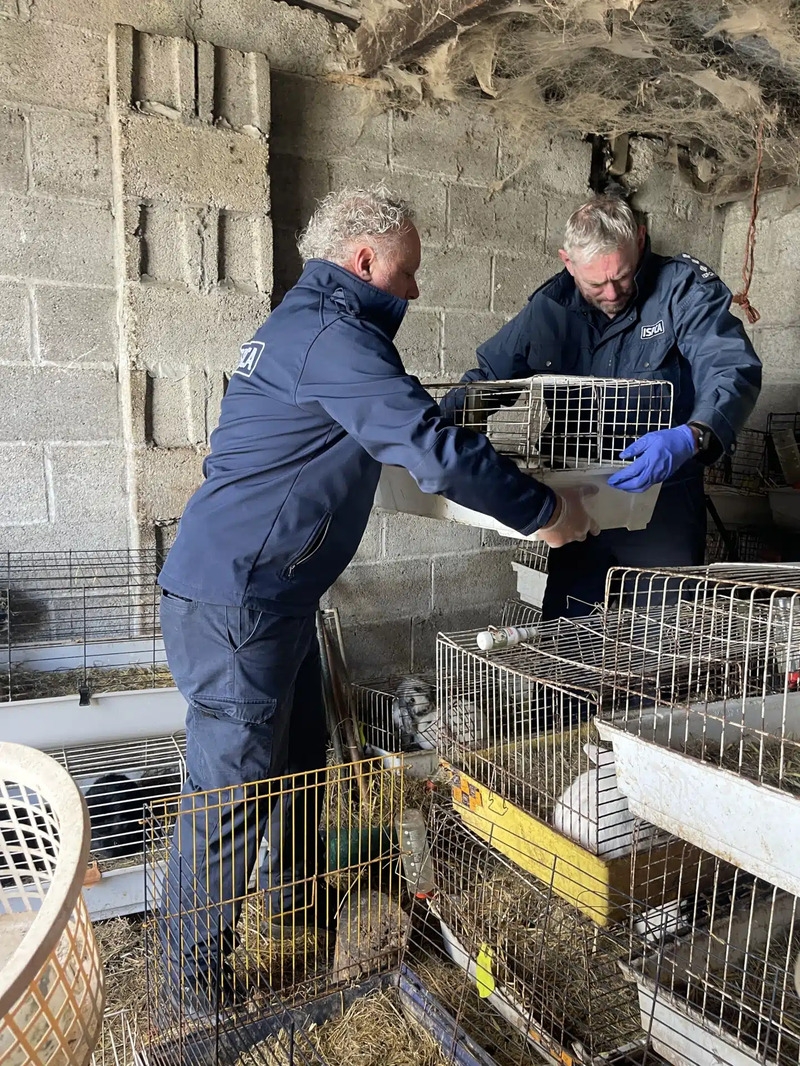 ISPCA removes over 200 animals from Kildare property
