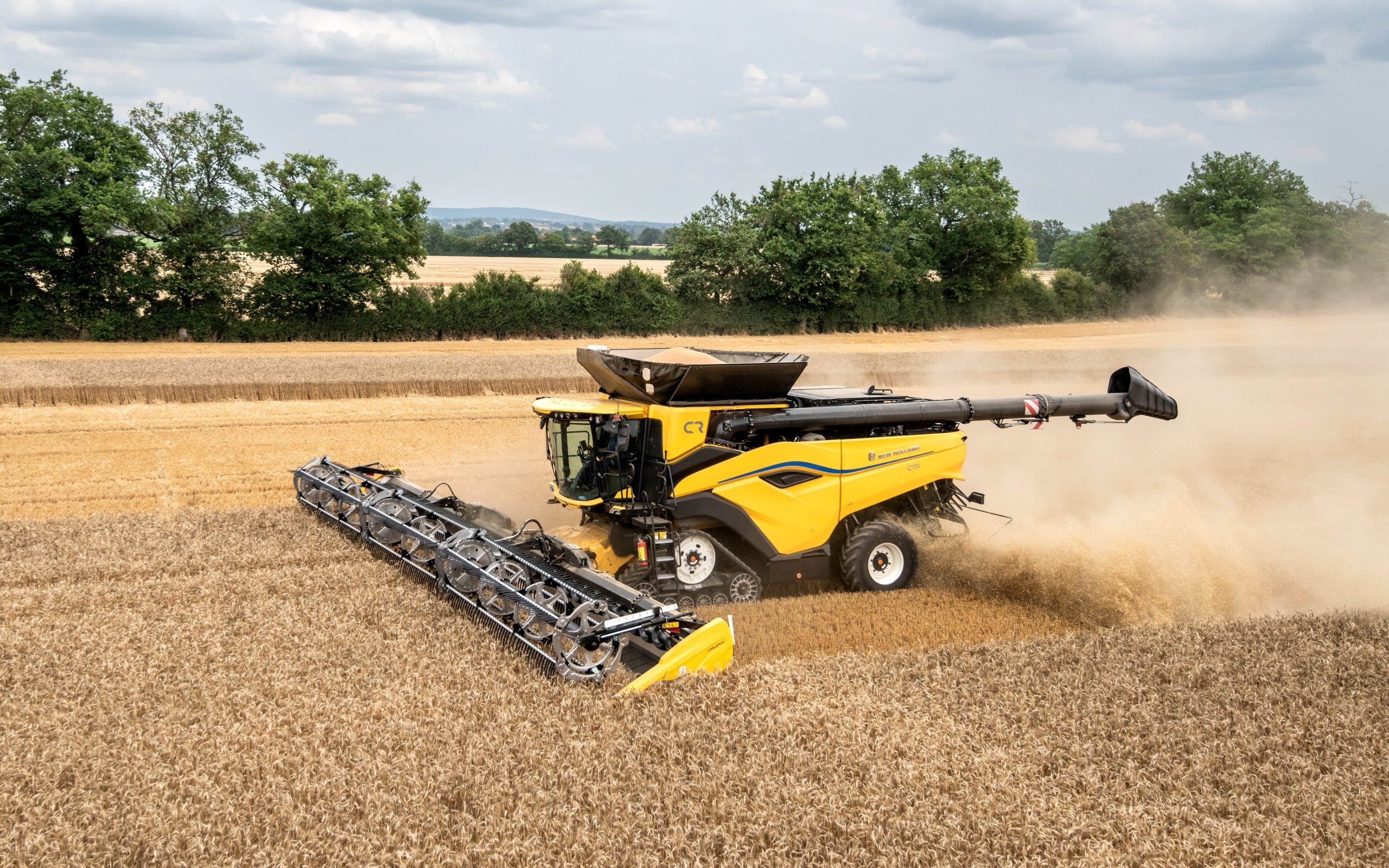 Opinion: Irish tillage sector has been left in limbo