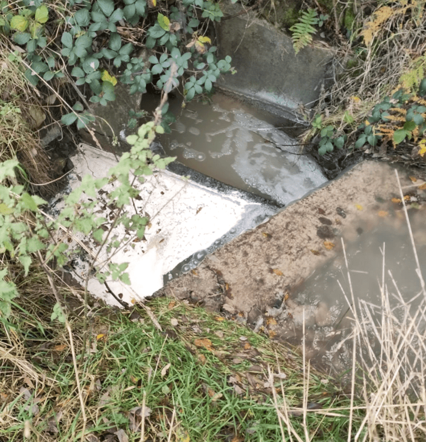 Co-op to pay €15,000 in legal costs following river ‘pollution' incident