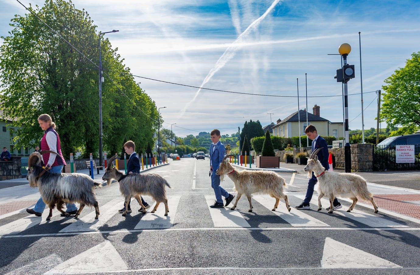 Goats a catalyst for change in Co. Carlow