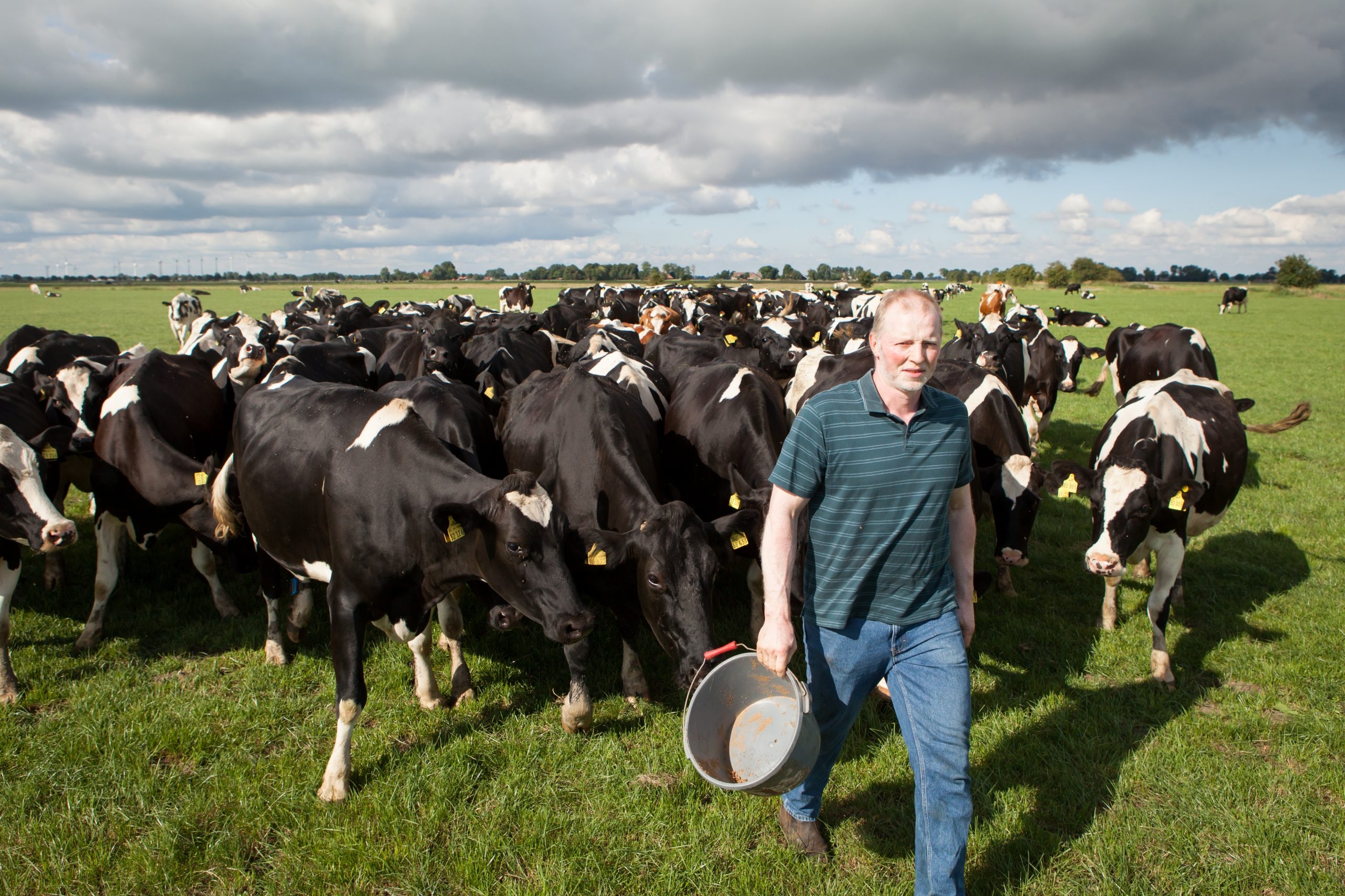 Focus: German dairy farm staying connected to consumers