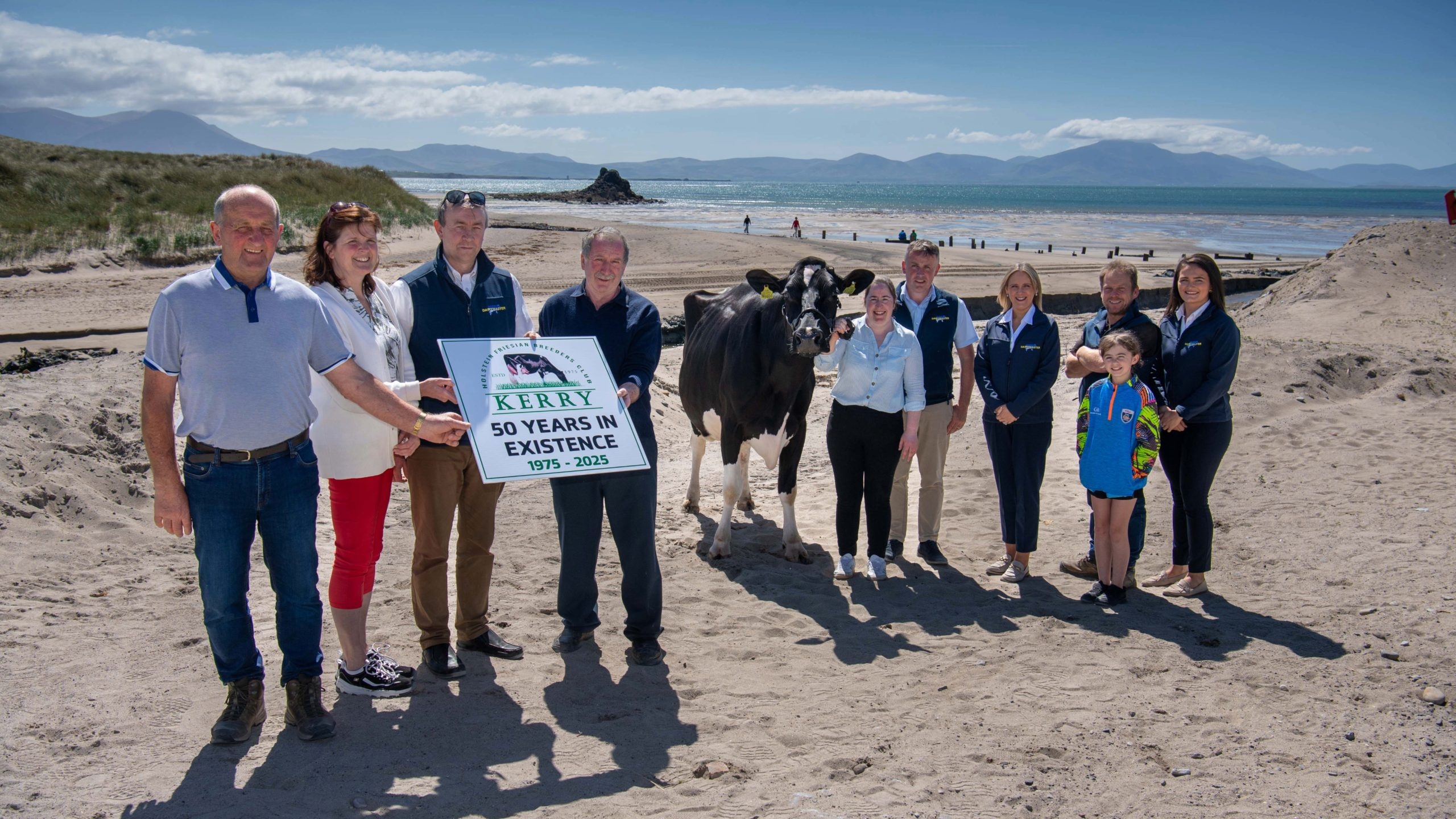 Kerry Holstein Friesian Breeders Club launches herds competition