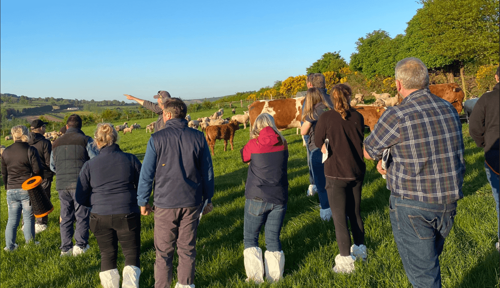 New beef farmer networking events kick off in south-east