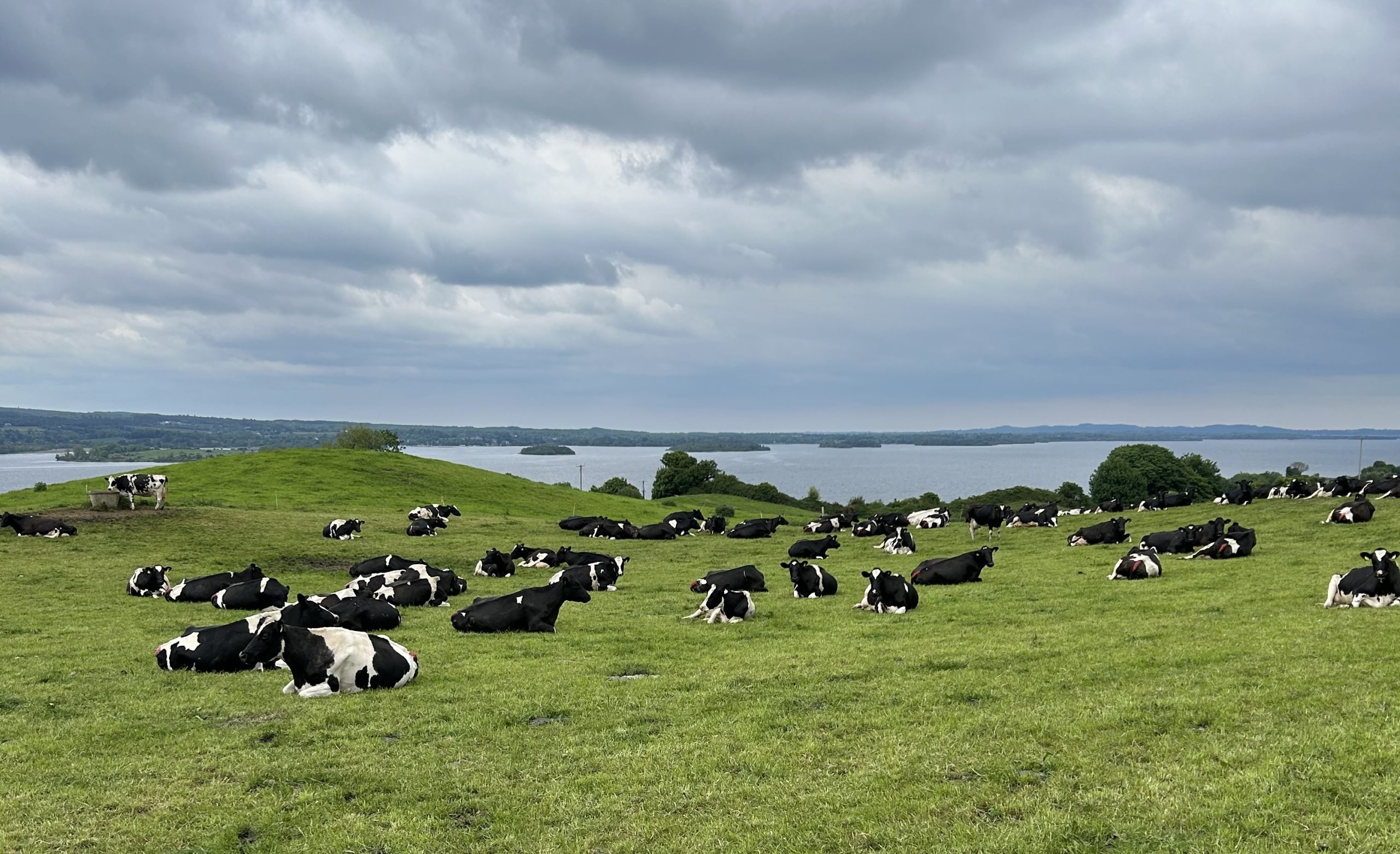 Six generations on the land: Meet Co. Clare dairy farmers, the Costelloes