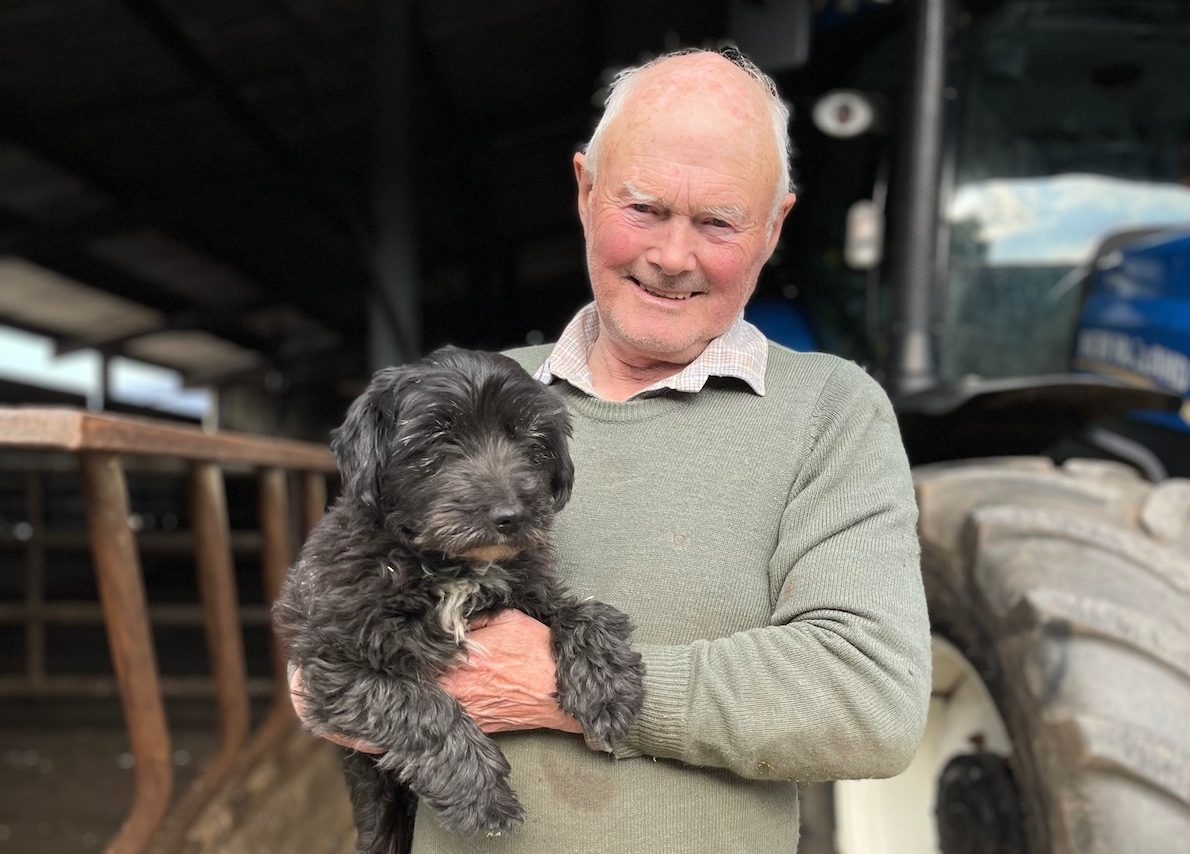 Finding missing Westie ‘better than winning the lottery' for farmer