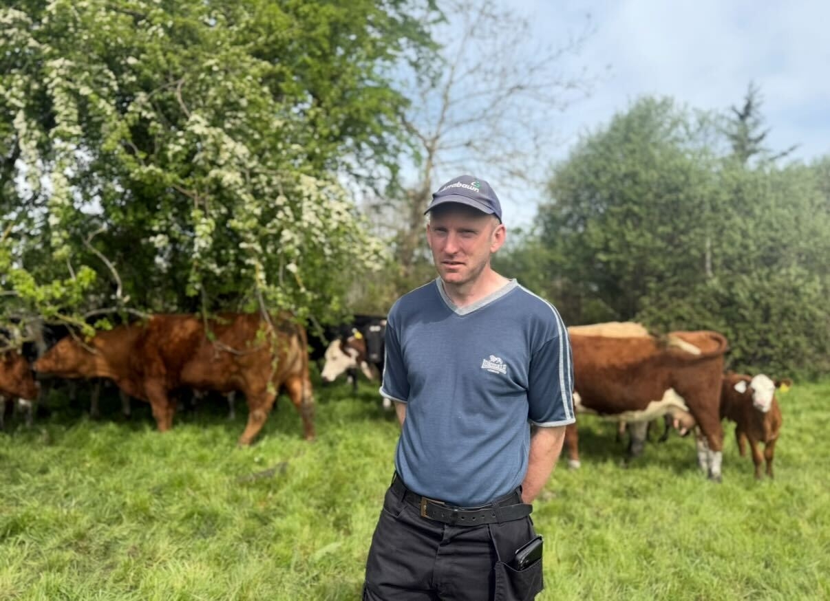 ‘I enjoy farming again': How a Galway farmer is beating paperwork stress