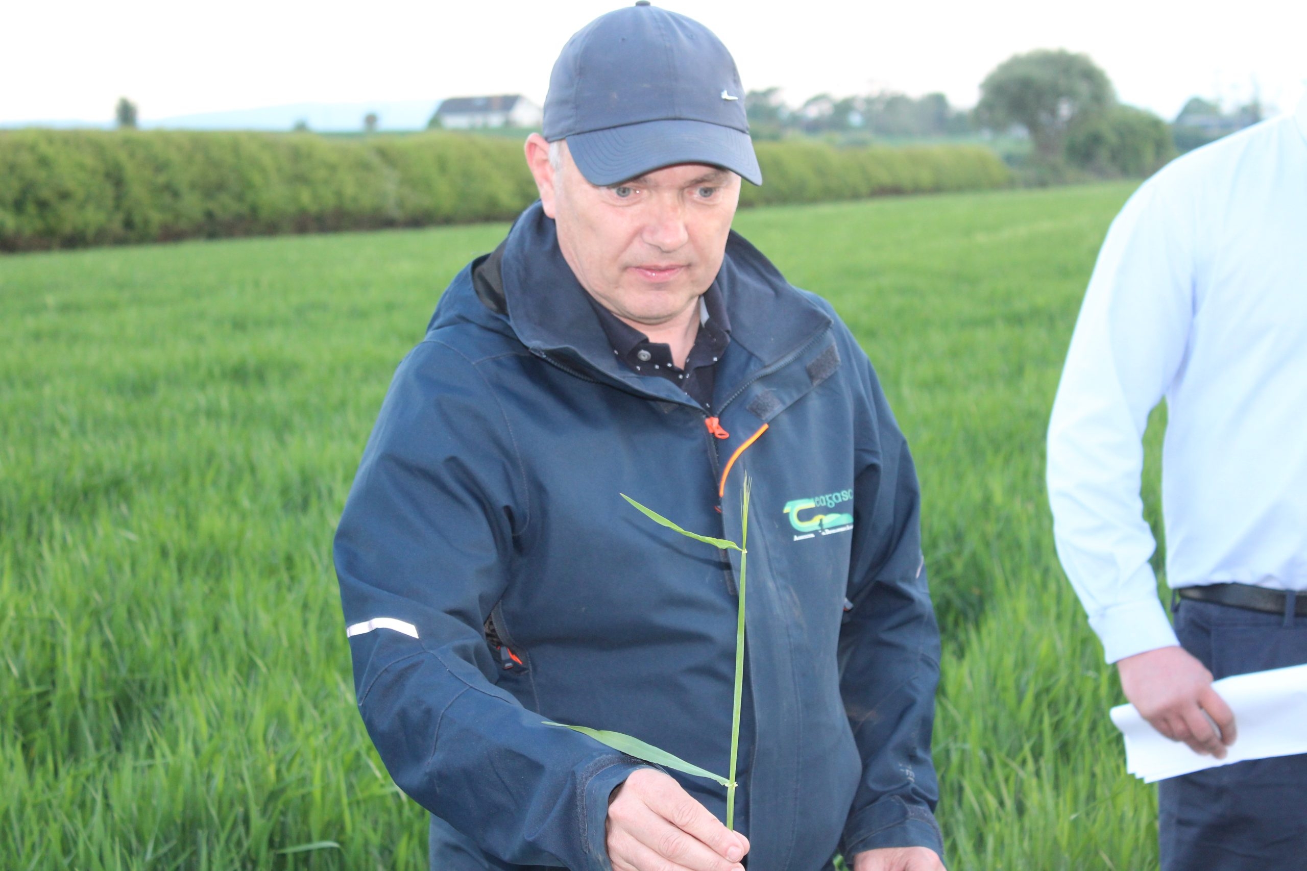 Tillage: Priorities for May Bank Holiday
