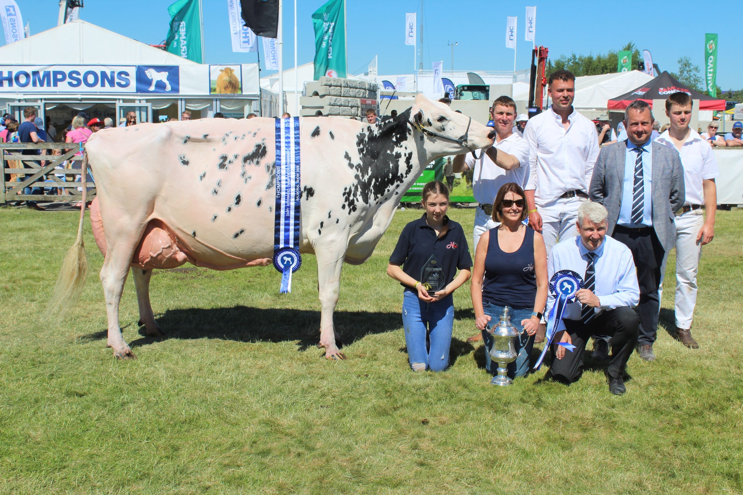Annaghmore Fitz Atlee takes the plaudits on Balmoral Show Day 3
