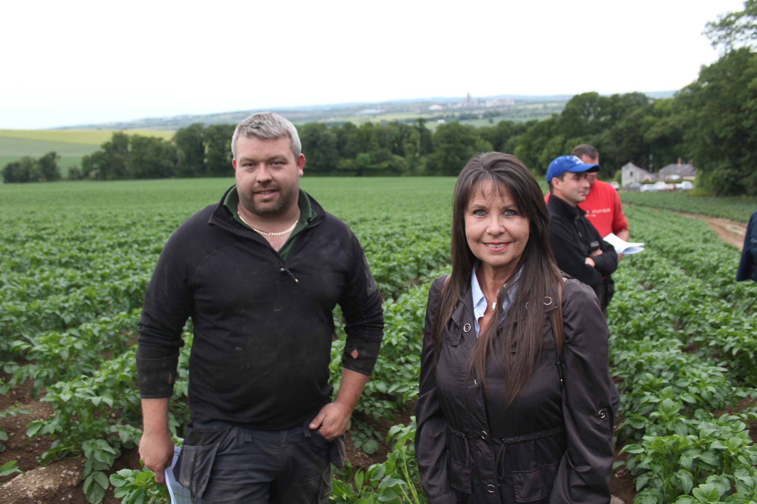 Threat of fungicide resistance within Irish blight populations remains
