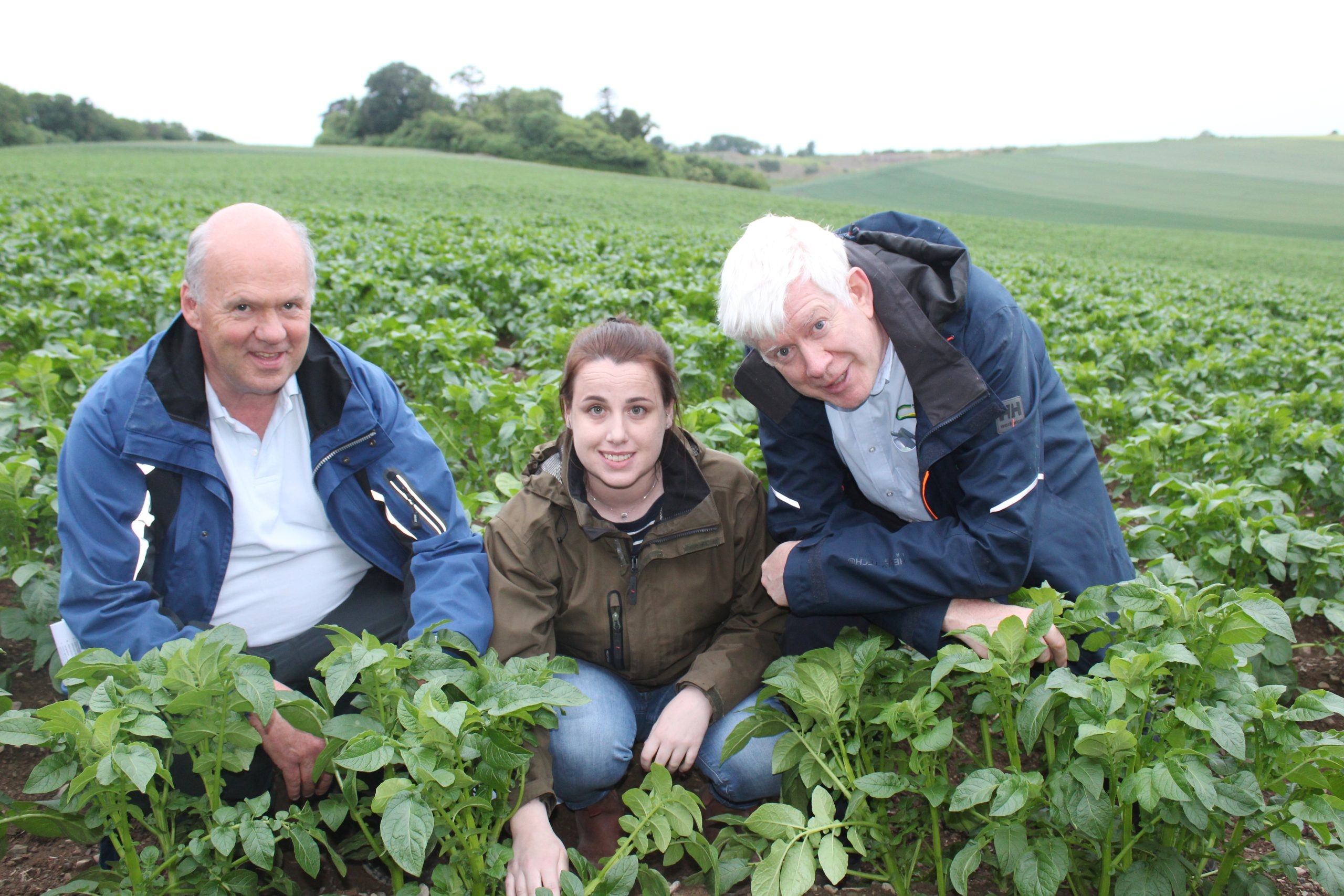Growers discuss control of potato blight in Ireland